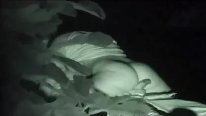१ old पुरानो बिल्ली कपाल