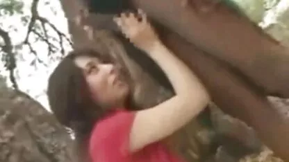 अफ्रिकी केटीहरू जापान से