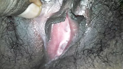 श्री लn्कन बिल्ली पातलो